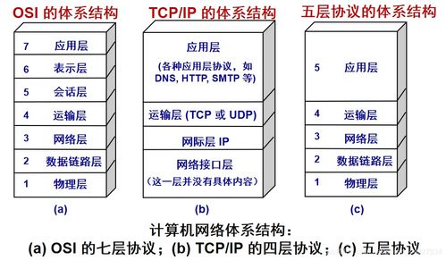 计算机网络体系结构解析 OSI与TCP/IP分层模型及其在计算机系统服务中的应用